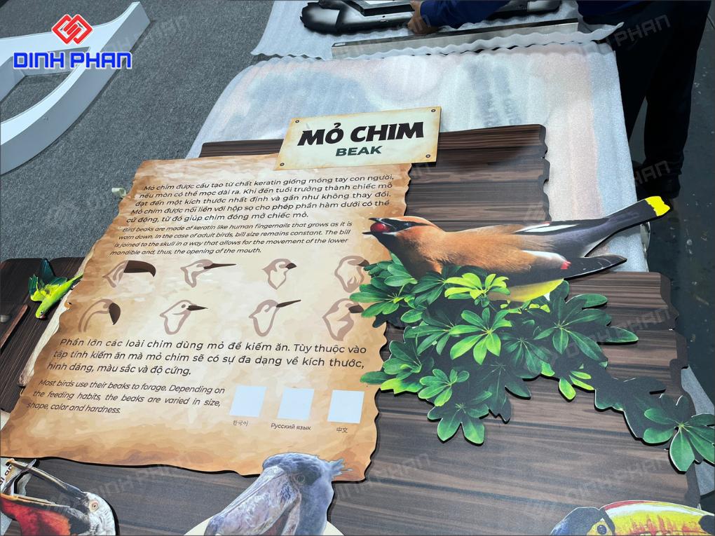 In UV Đắk Lắk Trên Mọi Chất Liệu, Giá Rẻ, Sắc Nét