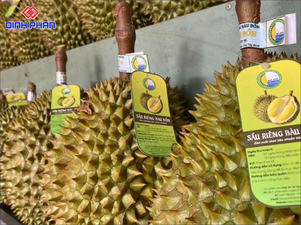 Tem nhãn dán cuống sầu riêng 