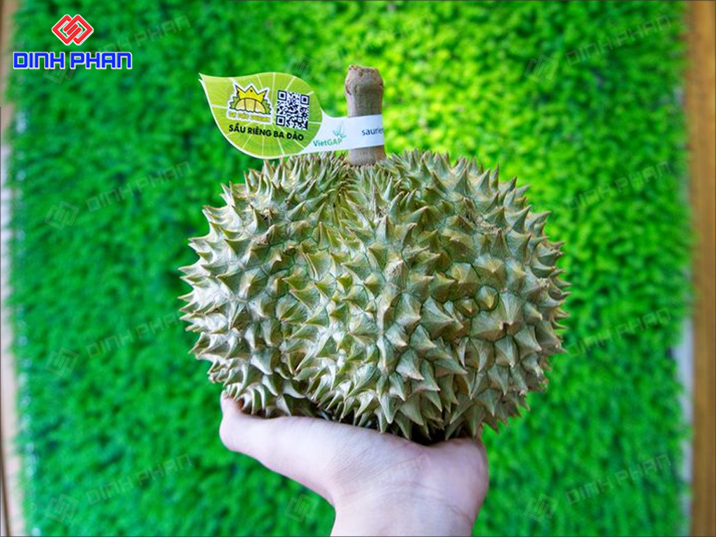 Tem dán cuống sầu riêng có mã QR