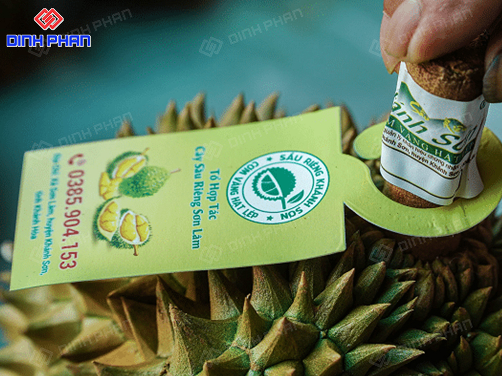 In Tem Nhãn Sầu Riêng Tại Buôn Ma Thuột