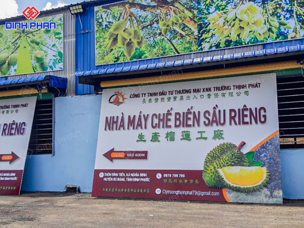 Thi công bảng hiệu sầu riêng BMT trọn gói Bảng hiệu sầu riêng BMT